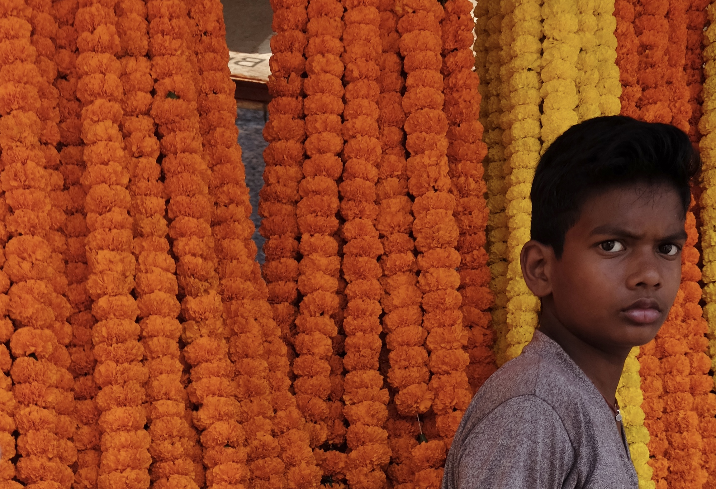 fullsizeoutput_166bb