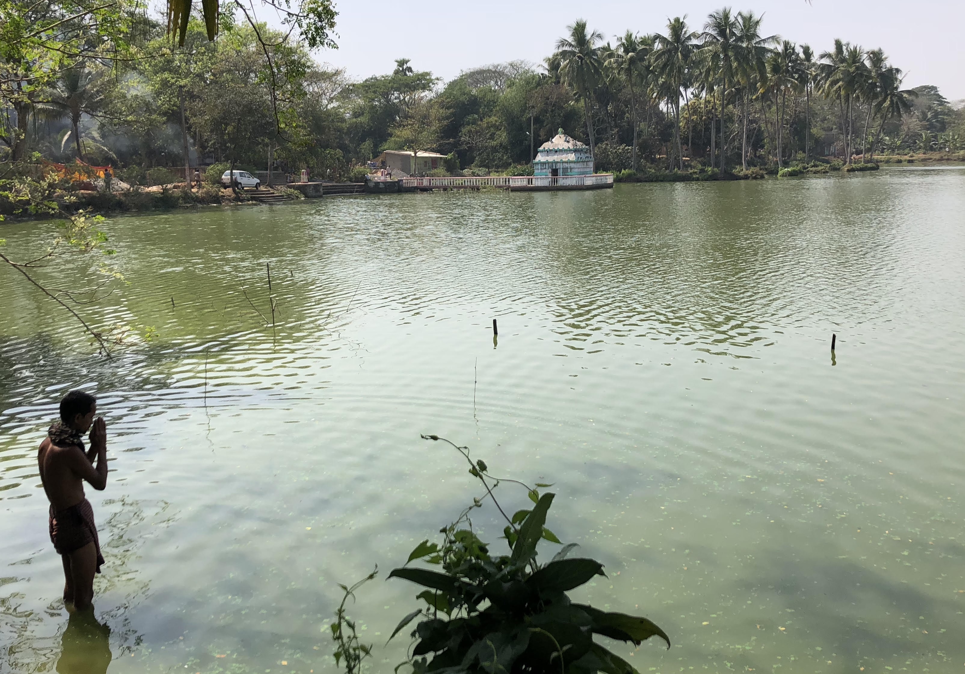 fullsizeoutput_1680d