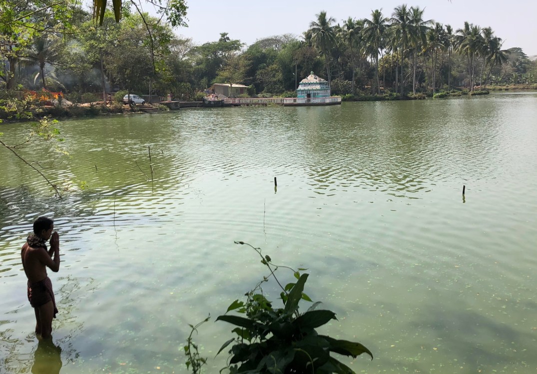 fullsizeoutput_1680d