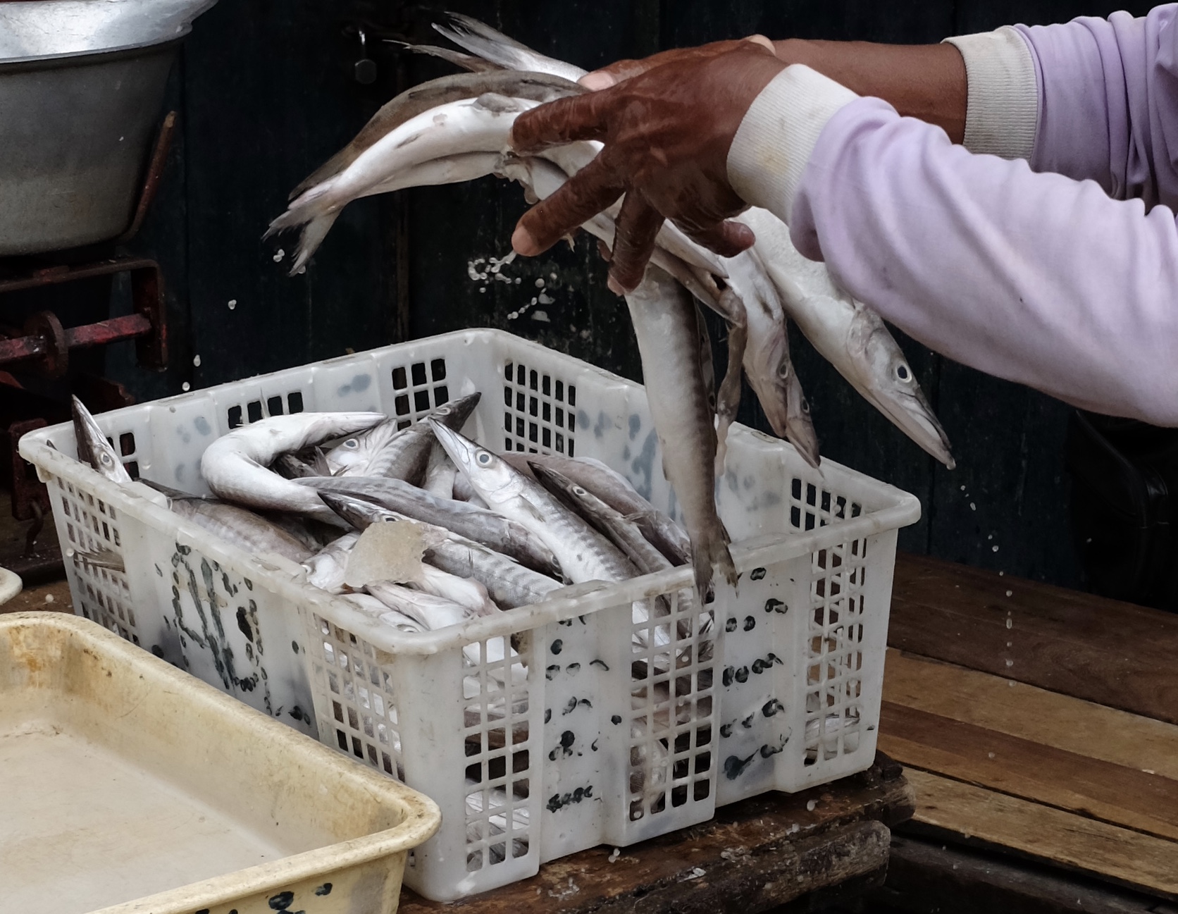 fullsizeoutput_16e5c