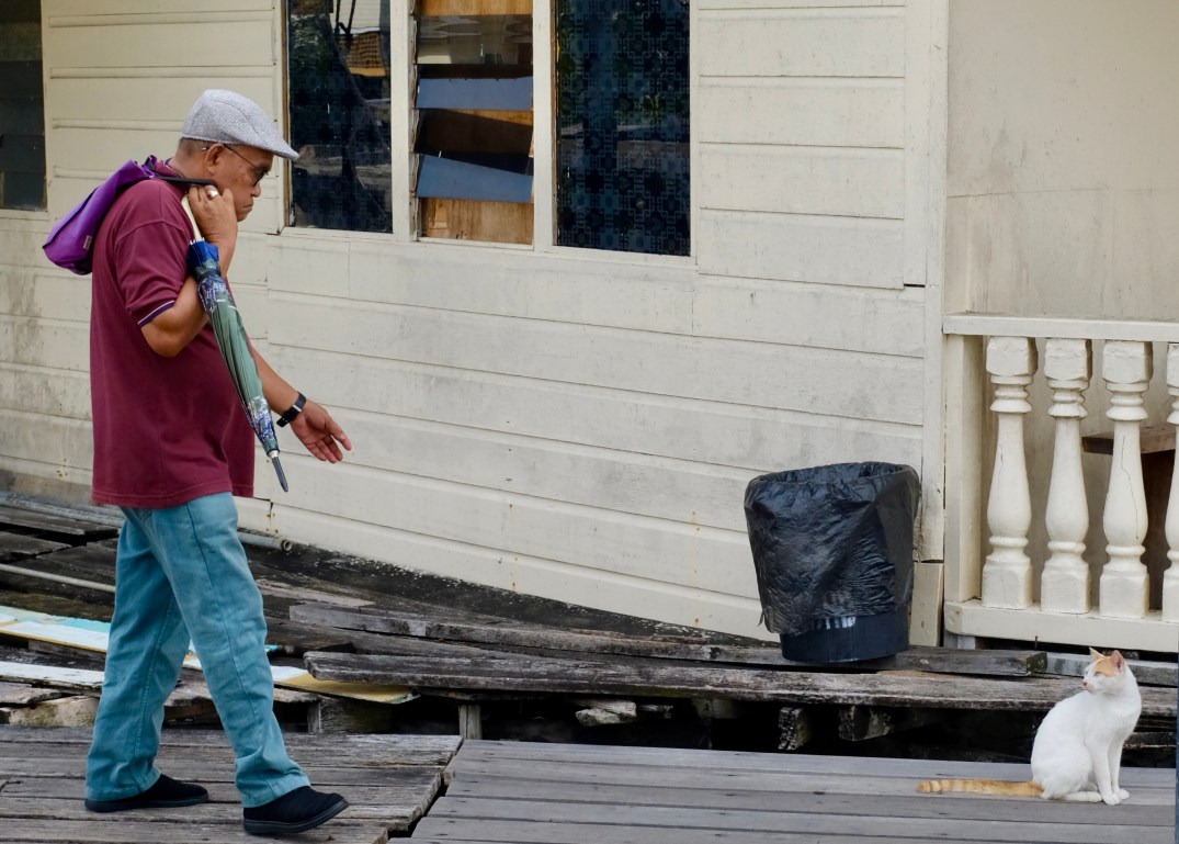 fullsizeoutput_172f6