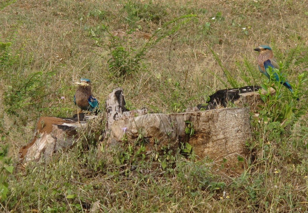 fullsizeoutput_17a29