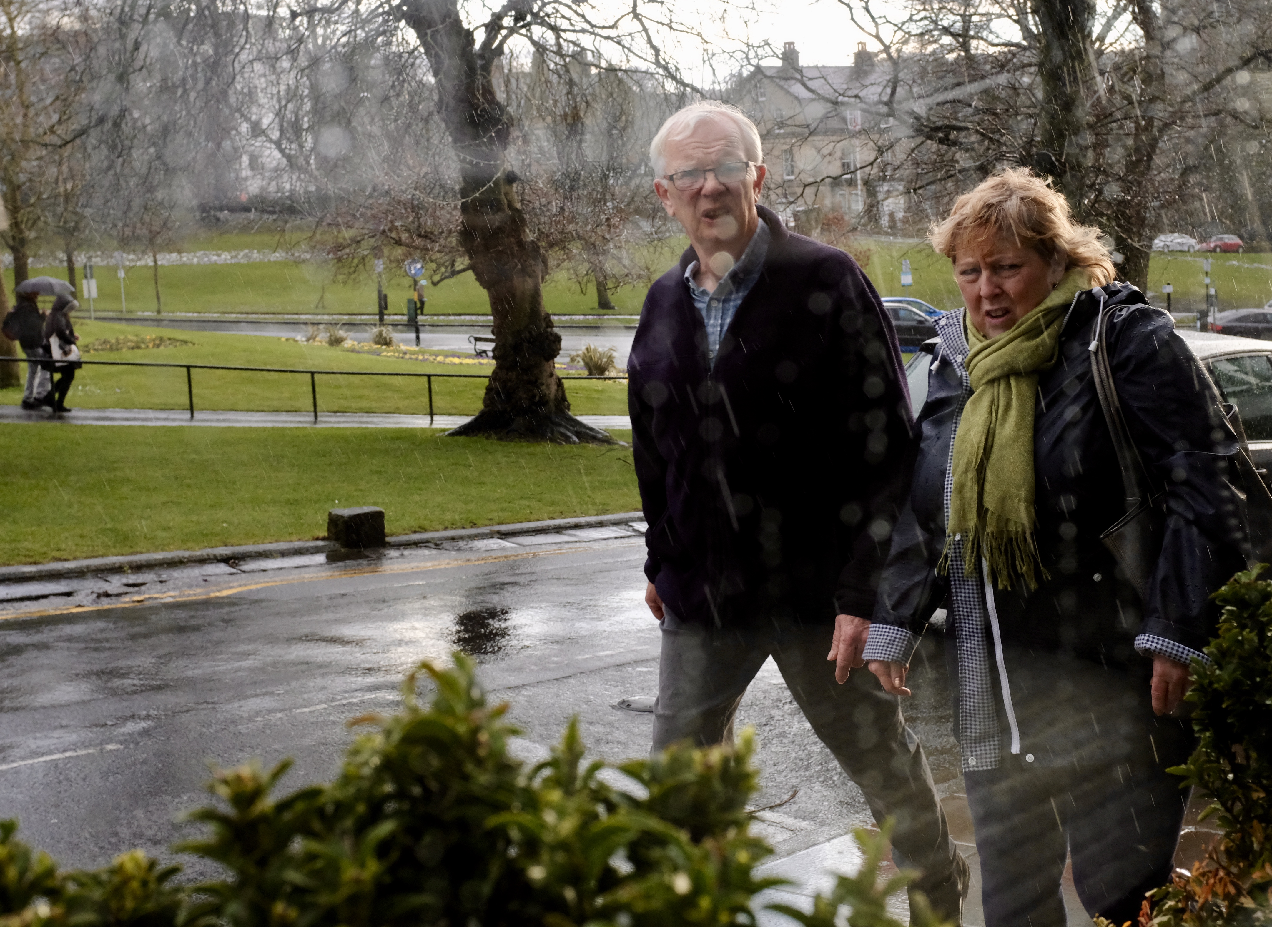 fullsizeoutput_17f8b