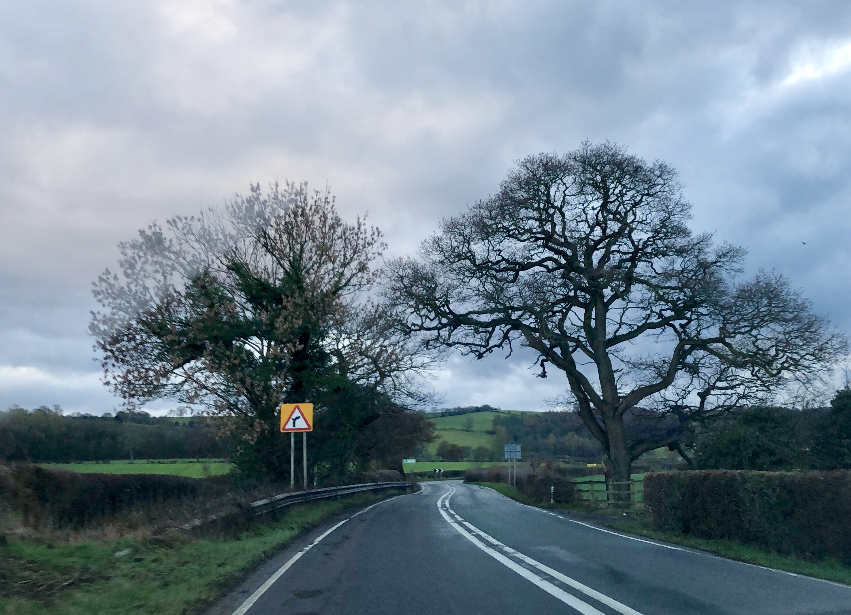 fullsizeoutput_181fe