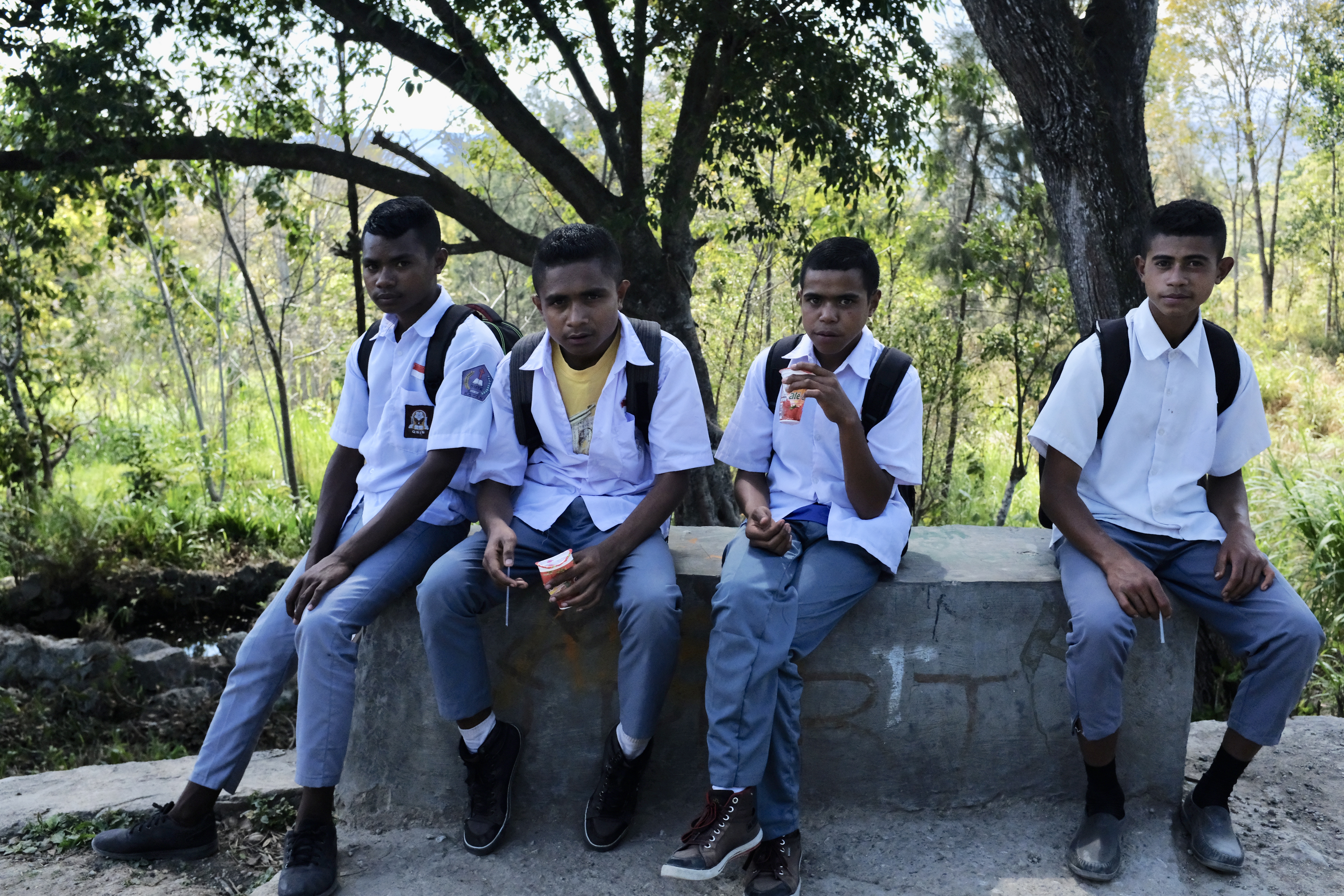 fullsizeoutput_183af