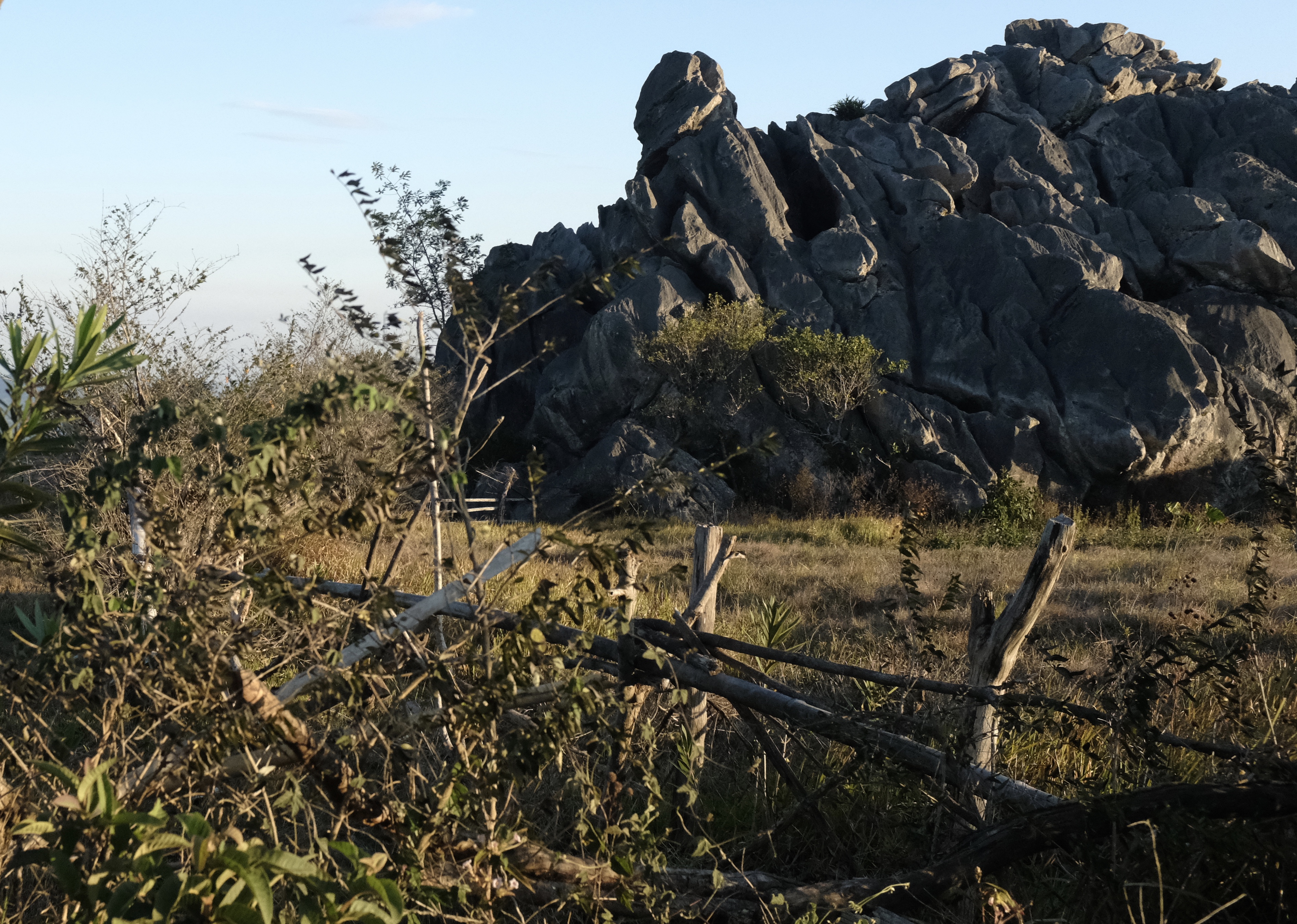 fullsizeoutput_1856d