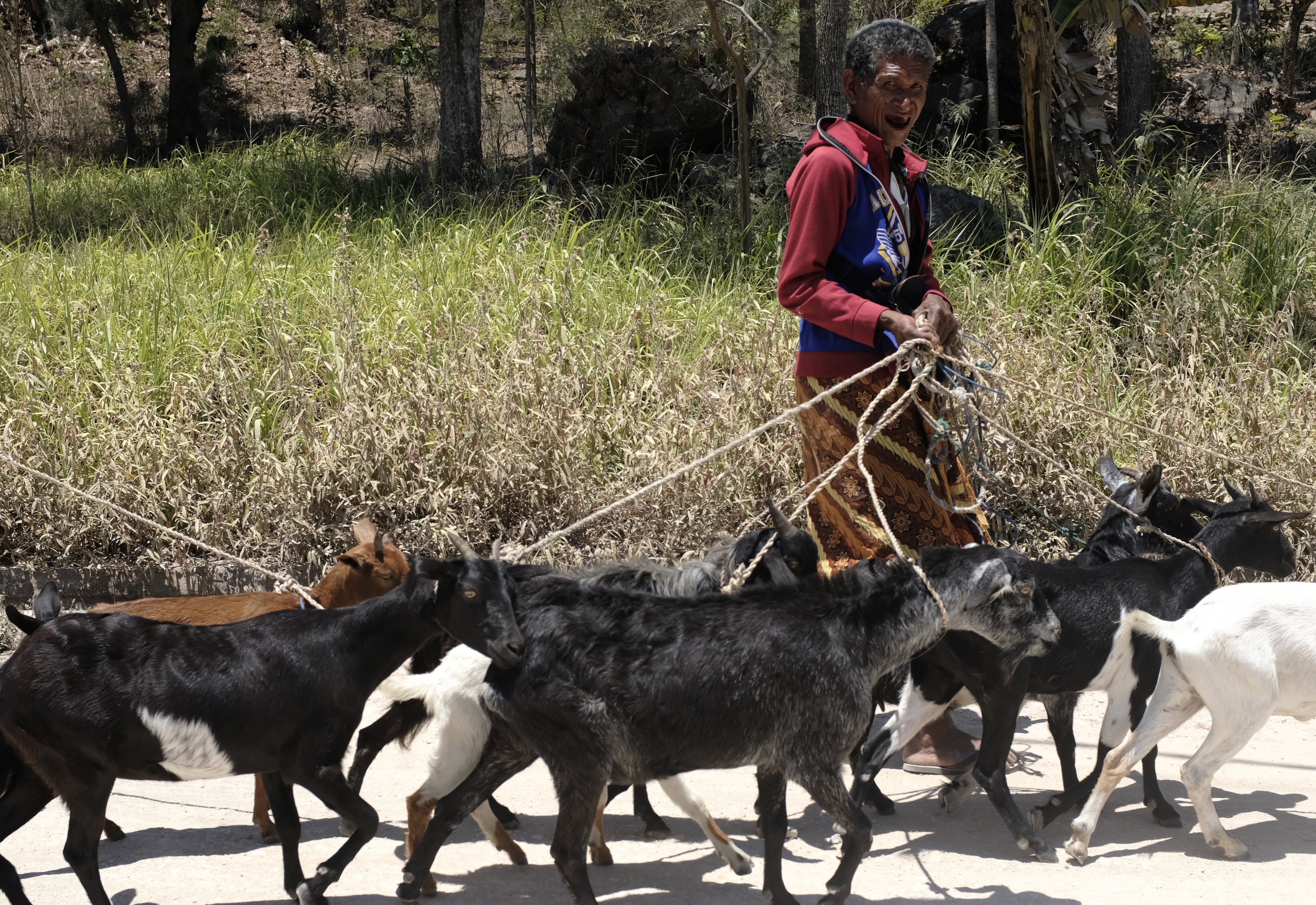 fullsizeoutput_18616