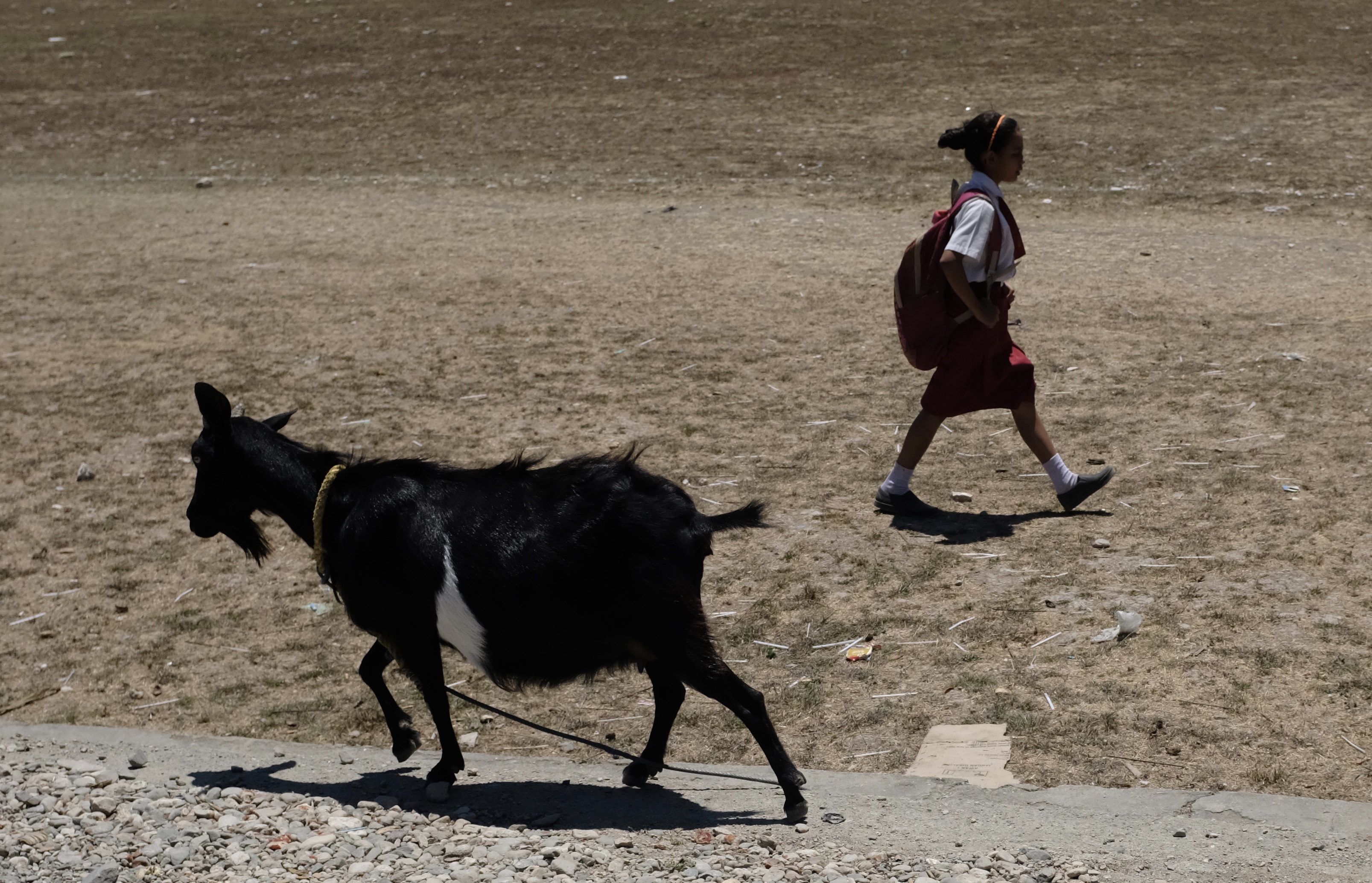 fullsizeoutput_18704