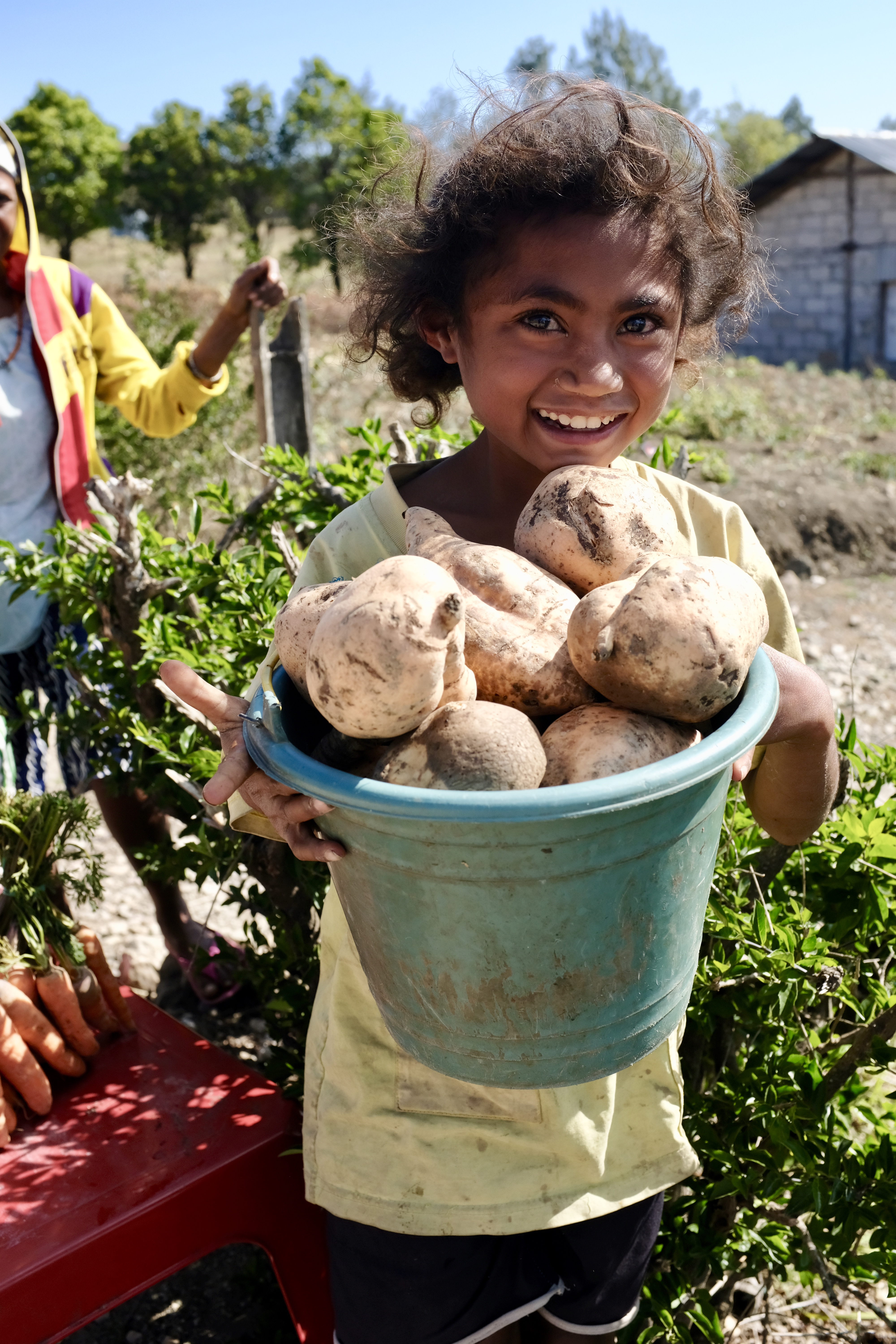 fullsizeoutput_18818