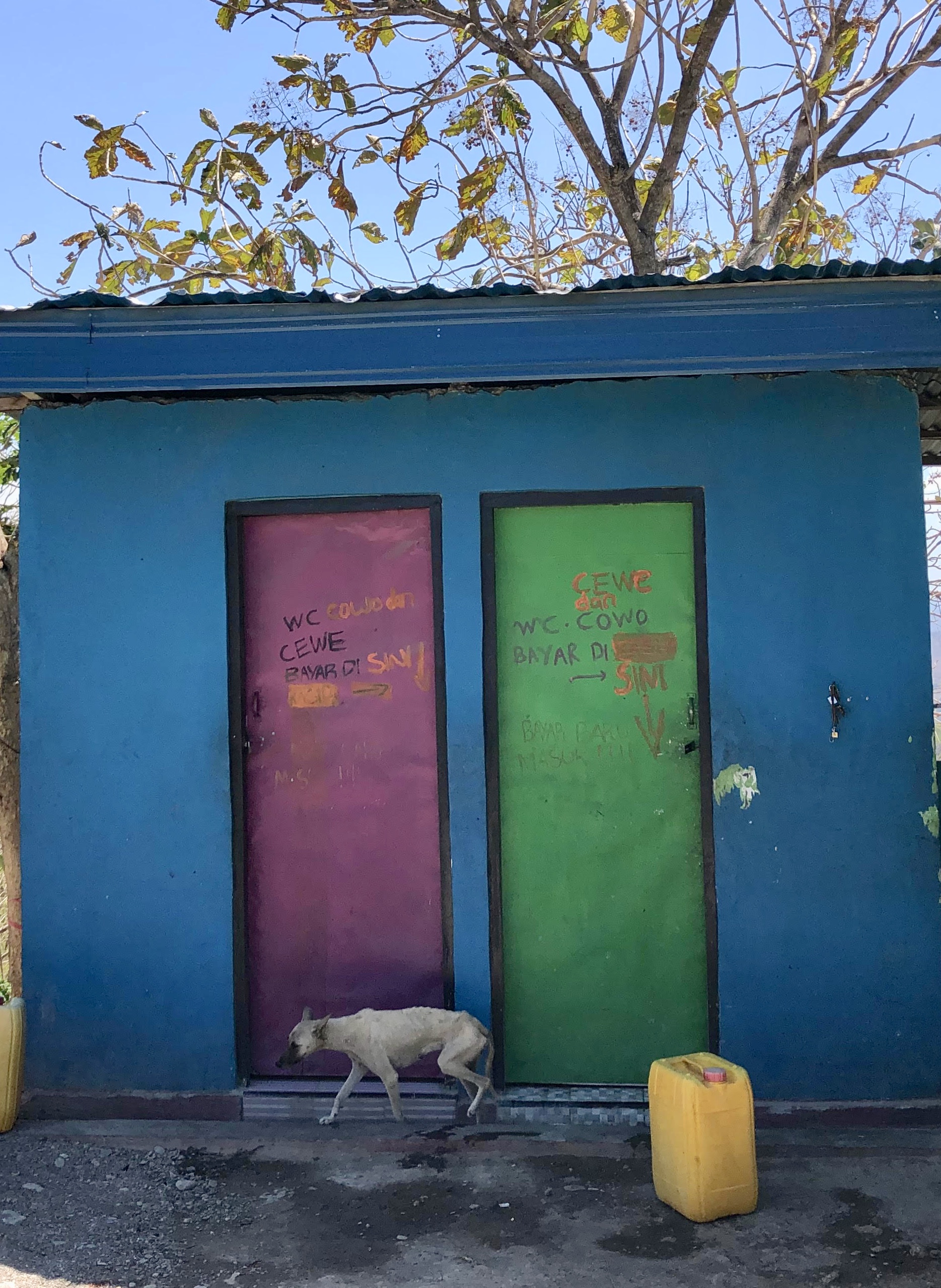 fullsizeoutput_1881b