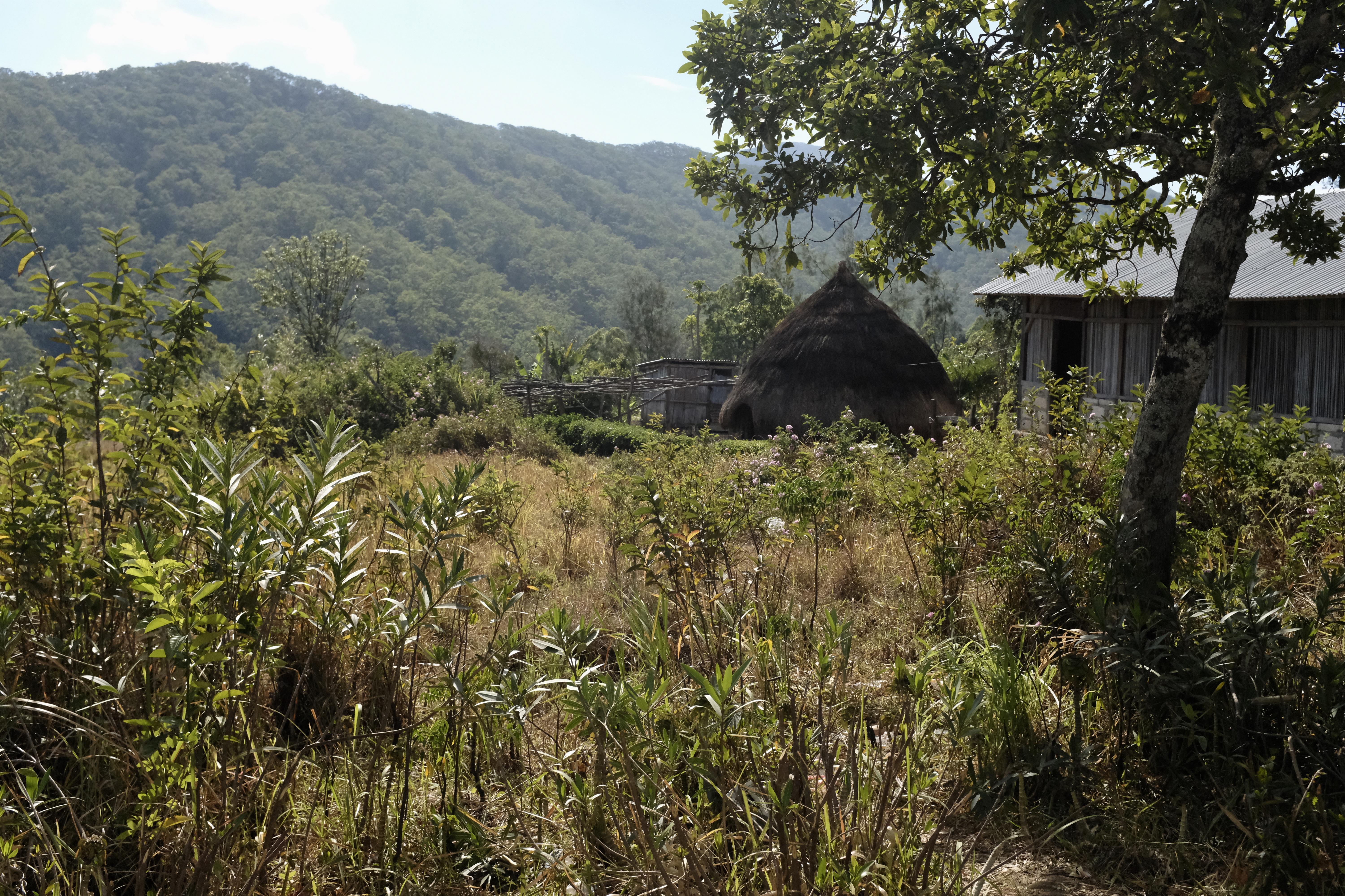 fullsizeoutput_18909